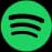 spotify icon